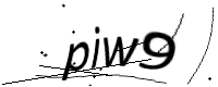 captcha_img